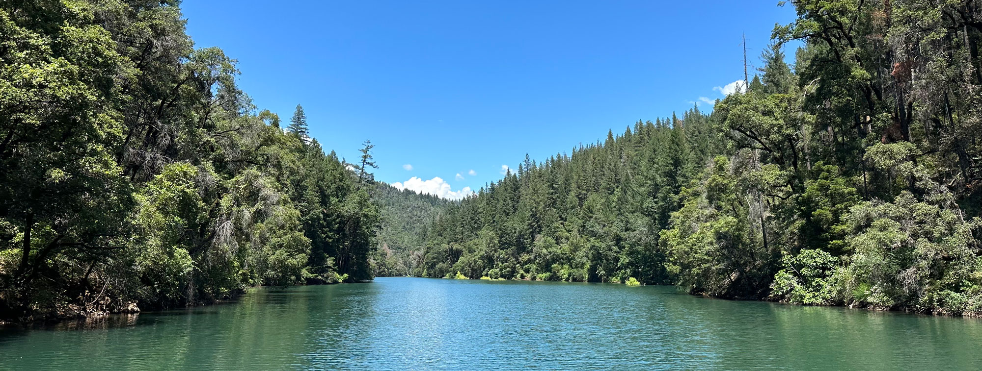 Sulanharas Creek, Shasta Lake