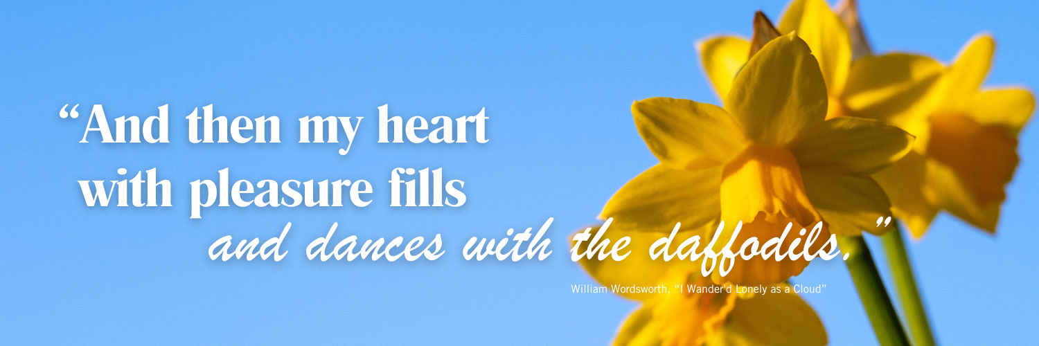 Daffodil photo with text quote overlay by Angie Weiland-Crosby.