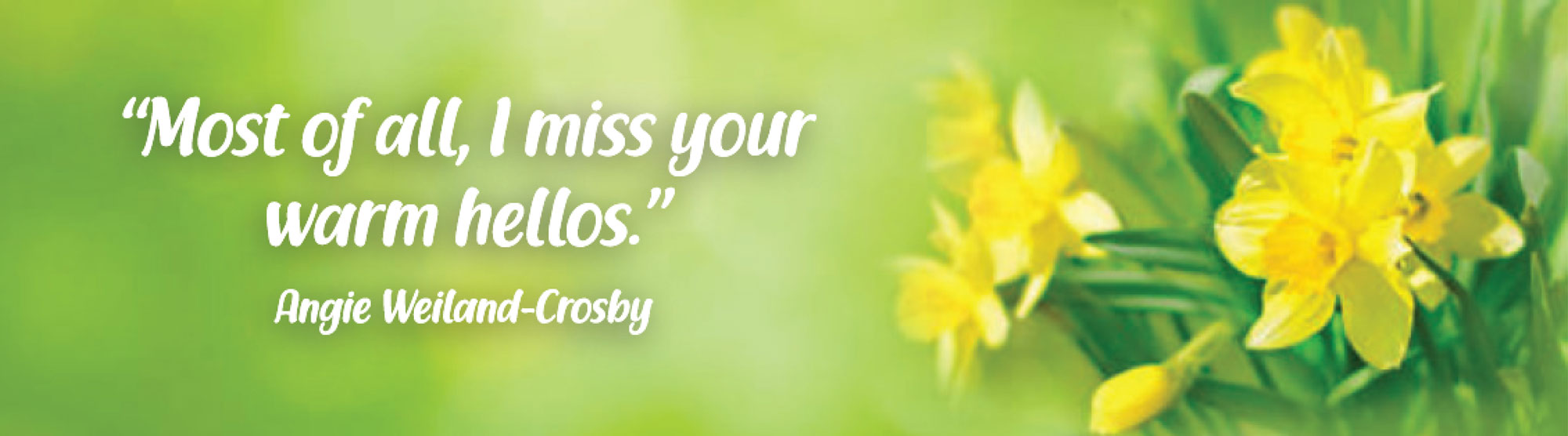 Daffodil photo with text quote overlay by Angie Weiland-Crosby.