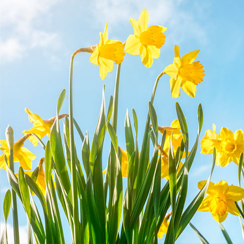 Rock with the word Hope on it being held in hands
