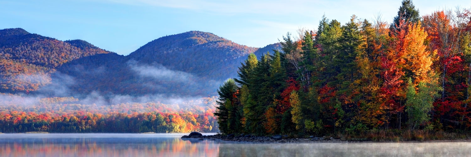 Lake and trees